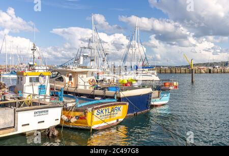 Fishing boats are moored together alongside a wharf. In the distance yachts are in a marina and a blue sky with clouds is above. Stock Photo