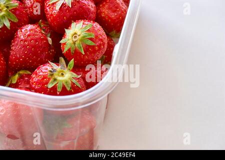 Fresh ripe strawberries in a clear plastic container on white background. Image with copy space. Stock Photo