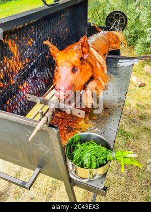 Outdoor piglet grilling. Pork meat garden barbecue. Stock Photo