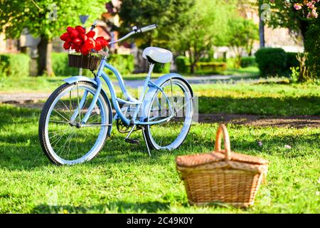 bicycle picnic basket