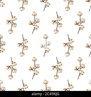 Branch with cotton ball seamless pattern in vintage style on white background. Floral backdrop. Fabric, wallpaper, textile, wrapping paper print texture. Stock Vector