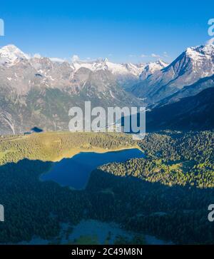 Valmalenco, alpine valley with Palù lake and wood in the summer season Stock Photo