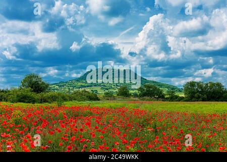 Poppy field in the front mountain and dramatic cloudscape in the back (Kali Basin, Badacsony Mountain in Hungary) Stock Photo