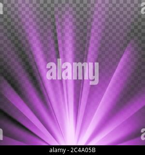 Purple colored rays with color spectrum flare Stock Vector