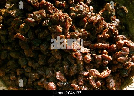 Asir Saudi Arabia Sultanas Stock Photo