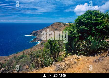 Indian Creek Antigua Mamora Bay & Willoughby Bay Stock Photo