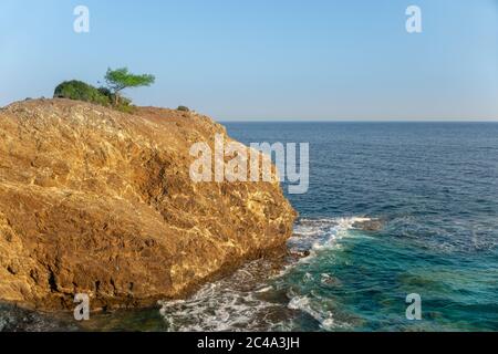 A single italian pine (parasol pine, umbrella pine, or known formally as Pinus Pinea) on a rocky edge cliff with blue clear sky background and waves. Stock Photo