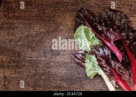 Fresh leaves of swiss chard in green and burgundy colors on a dark wooden background. Vintage style. Copy space Stock Photo