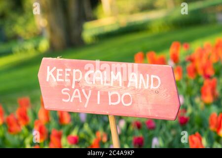Pink sign in a bed of red tulips saying 'Keep calm and say I do' wedding proposal engagement Stock Photo