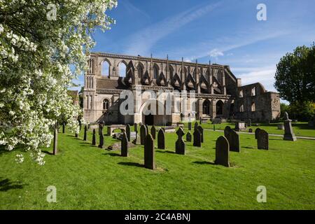 Malmesbury Abbey, Malmesbury, Wiltshire, England, United Kingdom, Europe Stock Photo