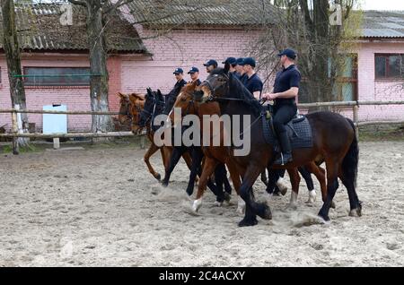 Mounted police squad riding horses at the manege Stock Photo