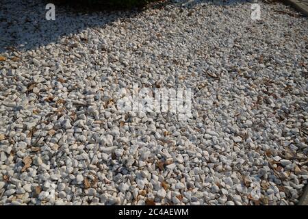 Brown and White pebble stone texture for background. The texture of brown gravel stones. Stock Photo