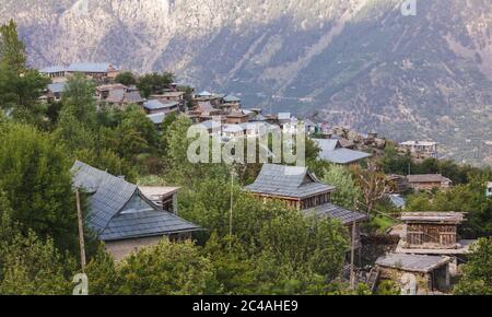 The traditional, slate roofed, wood and stone houses surrounded by trees in the Himalayan village of Kalpa in Kinnaur in the Indian Himalayas. Stock Photo