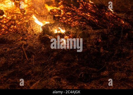 Details of the ashes on the ground during a fire. Stock Photo