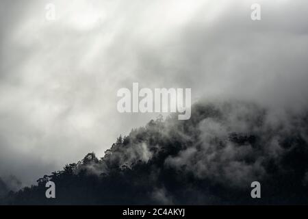 Dark landscape of mystery with fog, mist and clouds in the Cloud Forest ecosystem with copy space. Stock Photo