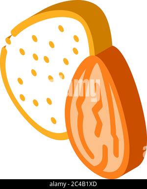 almond nut icon vector outline illustration Stock Vector