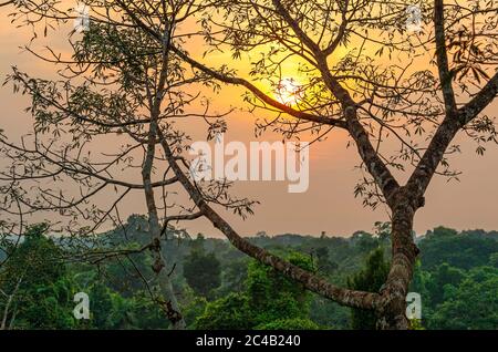 Aerial Amazon Rainforest landscape at sunset comprising the countries Brazil, Peru, Ecuador, Suriname, (French) Guyana, Bolivia, Venezuela, Colombia. Stock Photo