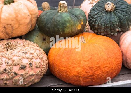 Decorative pumpkins on a stall in a farmers market Stock Photo