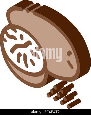 nutmeg nut isometric icon vector illustration Stock Vector