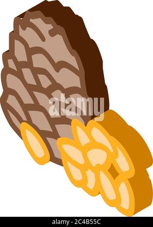 pine nut icon vector outline illustration Stock Vector