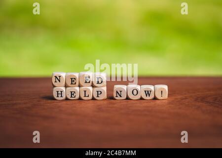 loseup of isolated dices on a table showing the words need help now Stock Photo