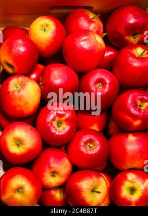Red apples lying in a wooden box Stock Photo - Alamy