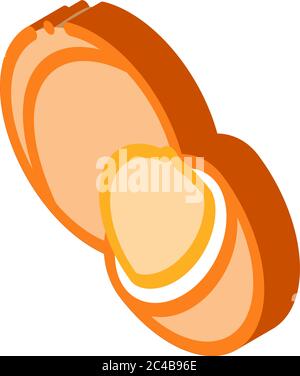 macadamia nut icon vector outline illustration Stock Vector