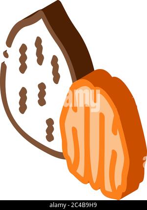 pecan nut icon vector outline illustration Stock Vector