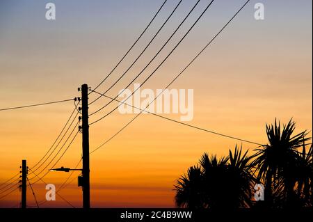 Telephone lines at sunset in Wedmore, Somerset Stock Photo