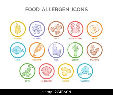 Colorful food safety allergy icons set. 14 food ingredients that must be declared as allergens in the EU. EPS 10 vector. Useful for restaurants and me Stock Vector