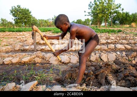 Boy digging a field in karsome, togo Stock Photo