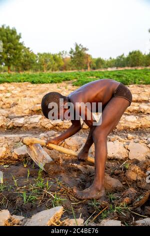 Boy digging a field in karsome, togo Stock Photo