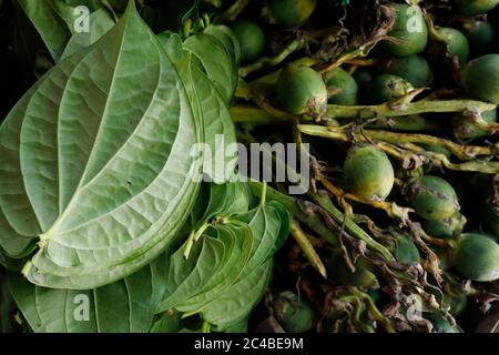 Betel leaves and areca nuts for sale at market Stock Photo