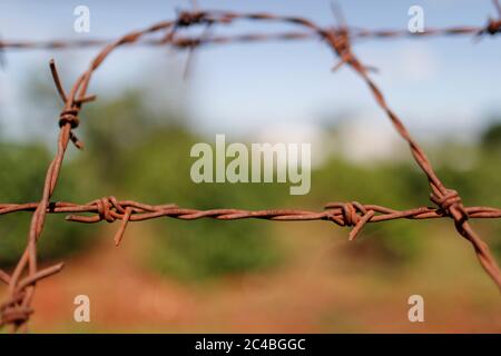 Rusty barbed wire fence Stock Photo