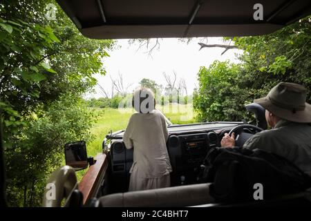 A six year old boy standing up in a safari vehicle, looking at the landscape. Stock Photo
