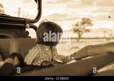A five year old boy on safari, in a jeep in a game reserve. Stock Photo