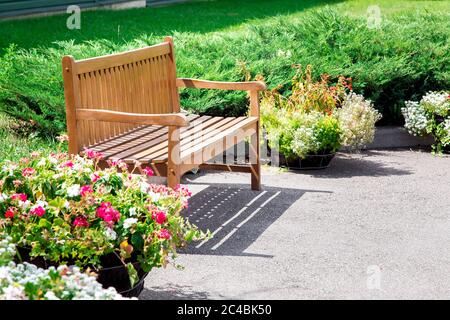 wooden bench made of brown boards on an asphalt road in a park with flowerpots and flowers and evergreen bushes of thuja. Stock Photo