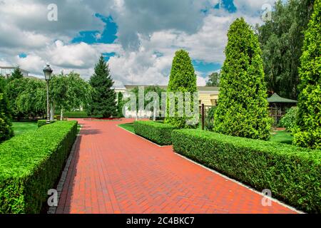 pedestrian pavement from paving slabs in the backyard of the building with a hedge of thuja bushes and other plants with white clouds in the blue sky. Stock Photo