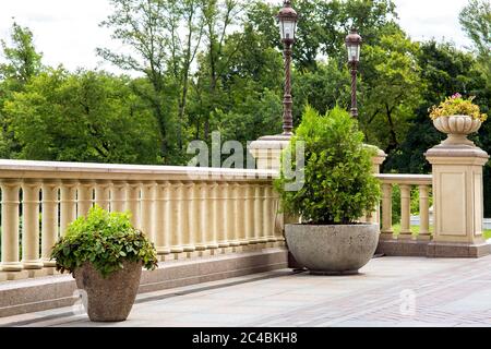 stone flowerpot with thuja near the railing with a balustrade and a stone flowerpot on a pedestal and posts with lanterns in retro style in the backgr Stock Photo