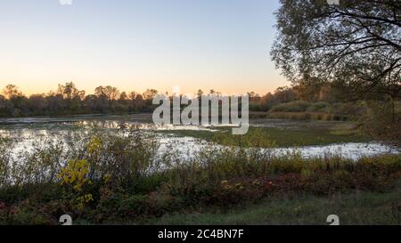 The lake turns into a swamp after sunset in the fall Stock Photo