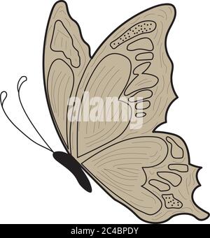 Butter fly design illustration flat vector, Stock Vector