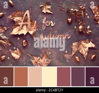 Color matching palette from stylish image of Autumn flat lay with painted golden leaves and text A for Autumn on dark brown Stock Photo