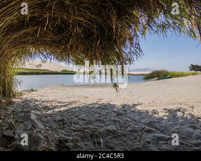 beautiful view of a oasis in the desert, one big bush, shadow and blue sky Stock Photo