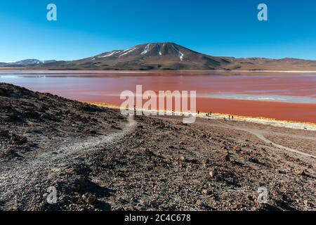 Landscape of the Laguna Colorada or Red Lagoon in the Andes altiplano, Uyuni salt flat desert, Bolivia. Stock Photo