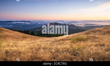 Sunset landscape in Santa Cruz mountains, with dry grass covering the hillside and a sea of clouds visible in the background; San Francisco Bay Area, Stock Photo