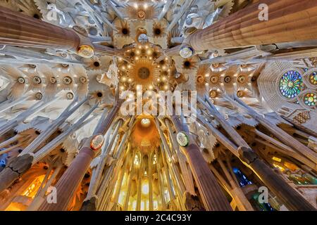 Detail of Sagrada Familia cathedral roof and vaulting in Barcelona, by Antoni Gaudi Stock Photo
