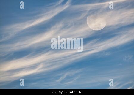 The Moon is Rising in a Blue Sky With white wispy Clouds in the Foreground Stock Photo