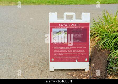 Coyote alert sign in Golden Gate Park, San Francisco, California; coyotes in the area warning; guidelines for an urban park encounter with coyotes. Stock Photo