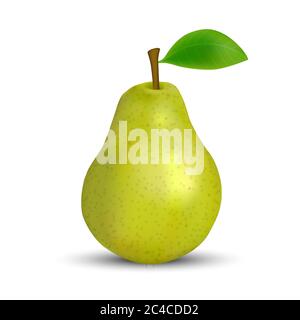 Green pear isolated on white background Vector illustration Stock ...