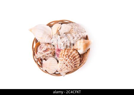 seashells in wicker basket. on white background Stock Photo